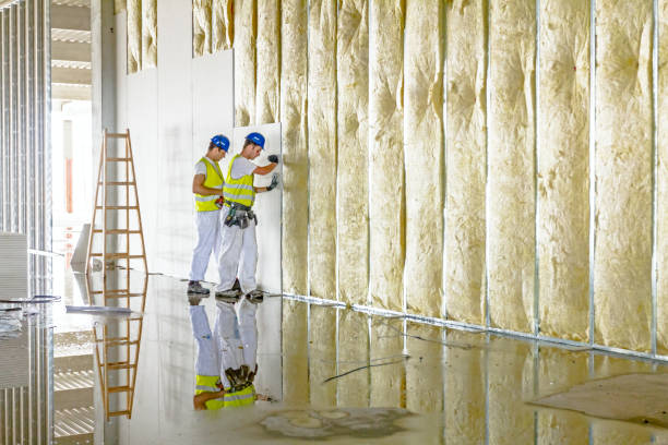 Best Eco-Friendly Insulation in Ebensburg, PA